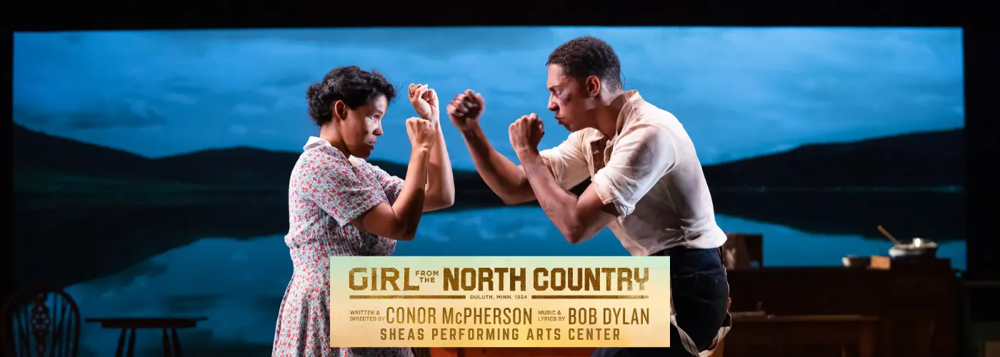 Girl From The North Country musical